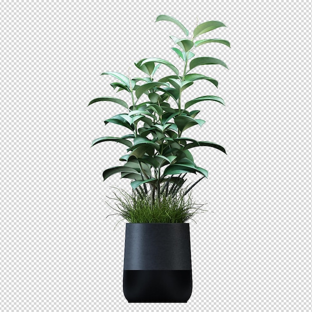 Planta em vaso em renderização 3d isolada