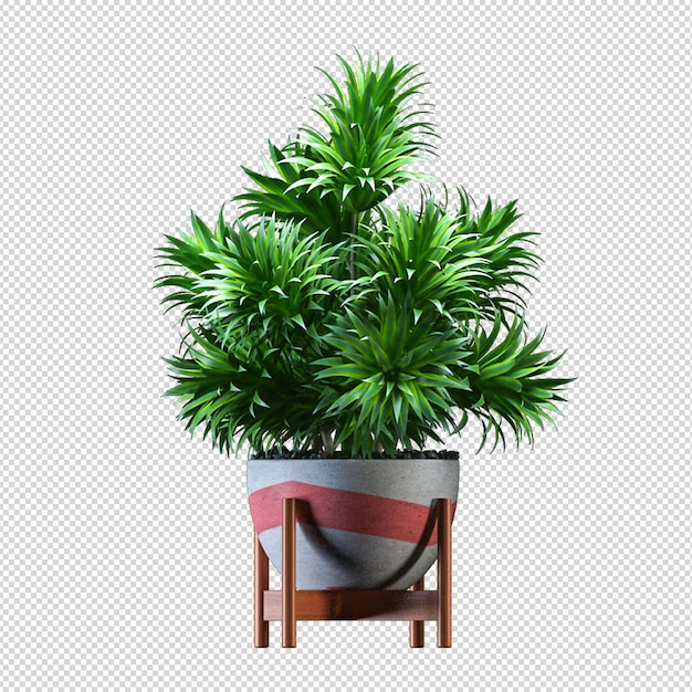 Planta em vaso em renderização 3d isolada