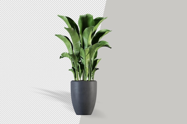 Planta em vaso em renderização 3D