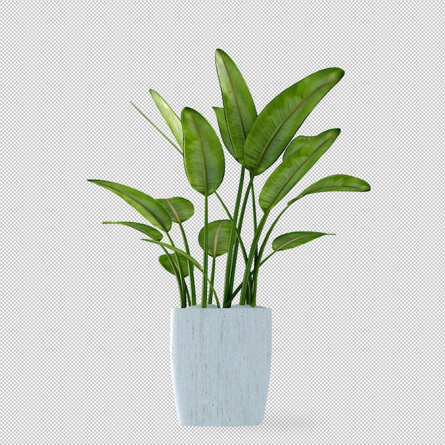 Planta em vaso em renderização em 3d