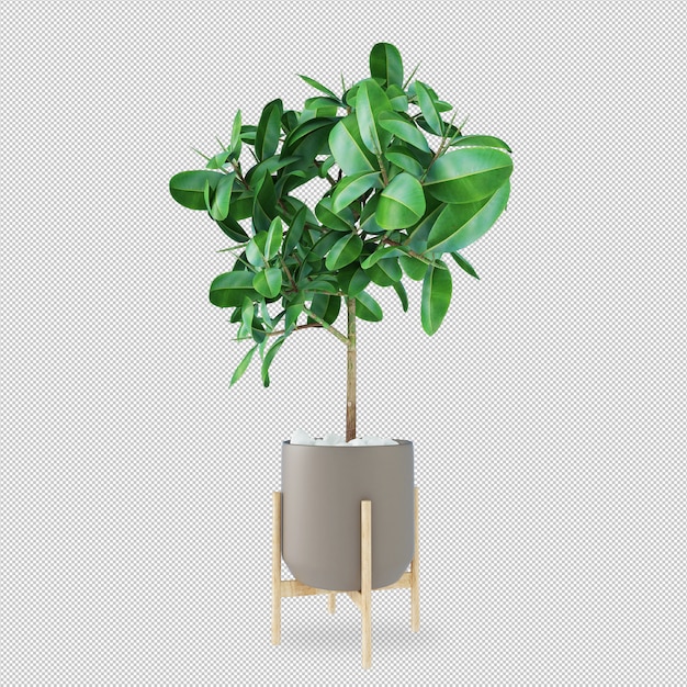 PSD planta em vaso em renderização em 3d