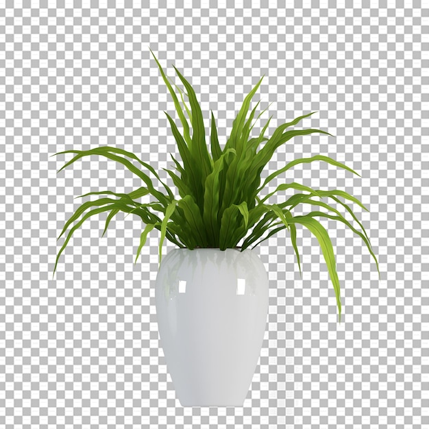 Planta em vaso na renderização 3d isolada