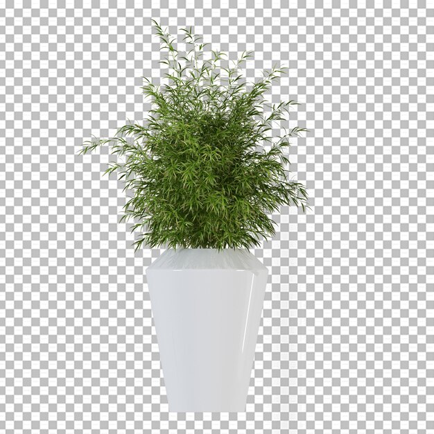 Planta em vaso na renderização 3d isolada