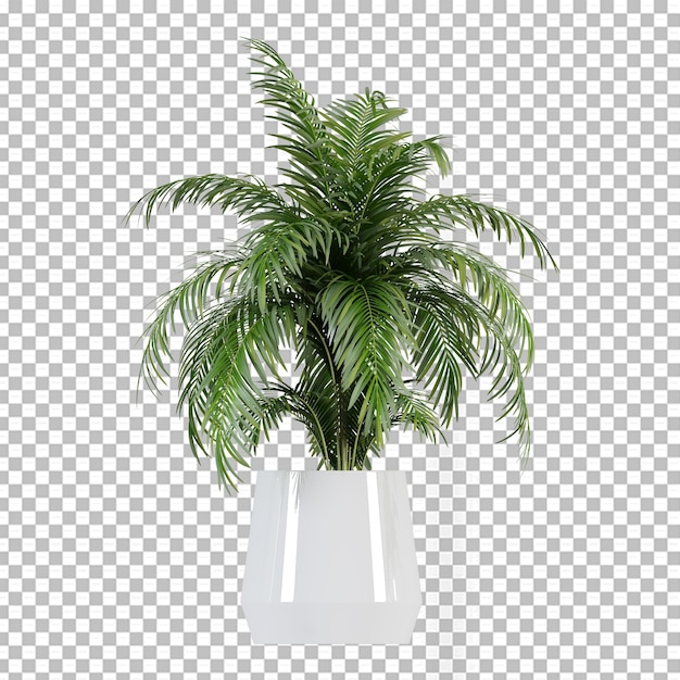 PSD planta em vaso na renderização 3d isolada