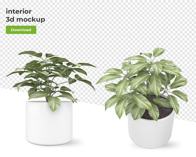 Planta em vaso para renderizar desenhos isolados