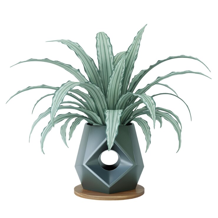 PSD una planta está en una olla blanca con una planta en ella
