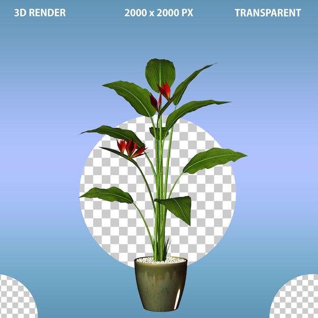 Planta flor de olla moderna aislada sobre un fondo transparente