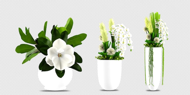 PSD planta de flores en florero en representación 3d aislada