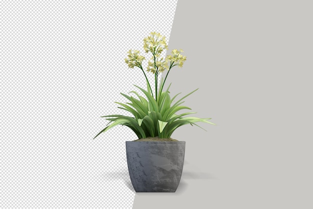 Planta de flores en jarrón en renderizado 3d aislado