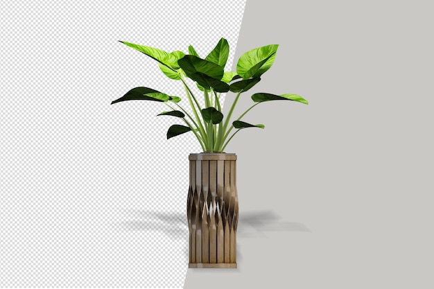 Planta de flores en jarrón en renderizado 3d aislado