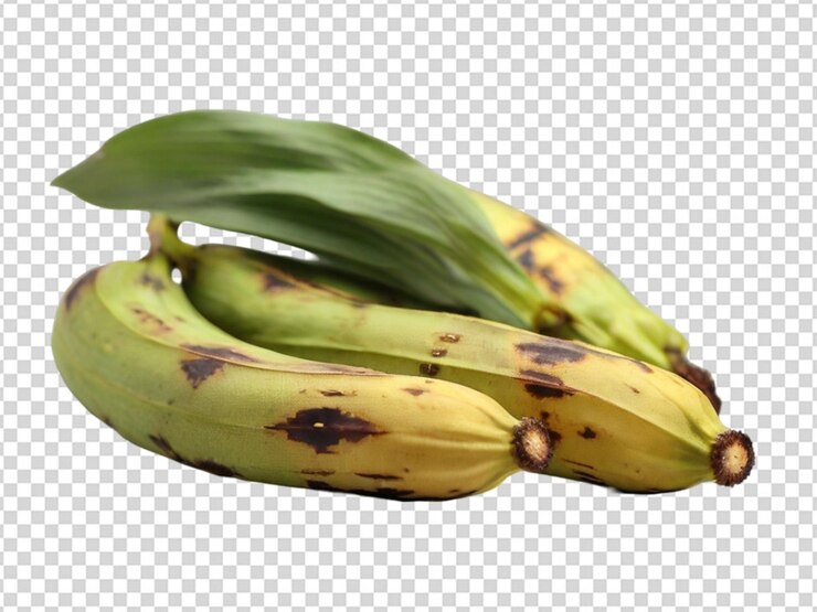 PSD planta en un fondo transparente