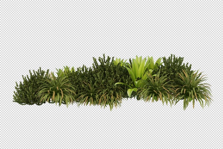 PSD planta fresca aislada en renderizado 3d