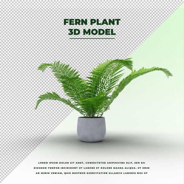 Planta de helecho