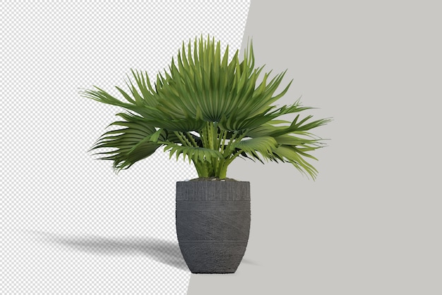 Planta hermosa en representación 3d del florero