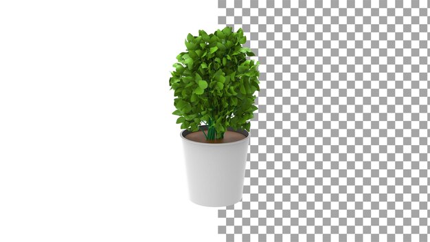 Planta de hiedra del diablo con maceta sin sombra 3d render