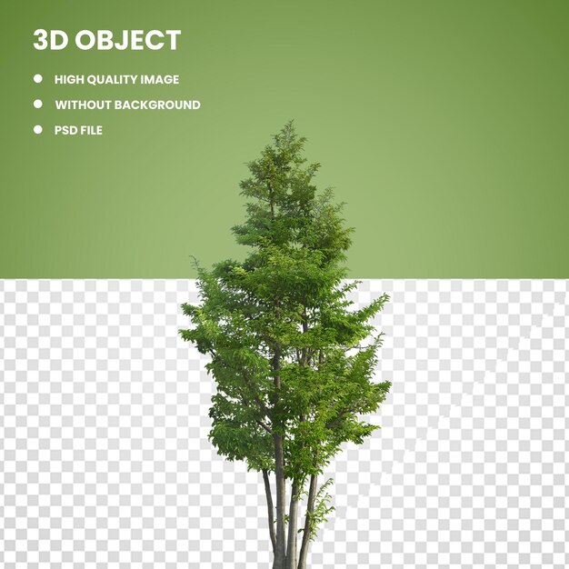 planta de hoja verde 3d