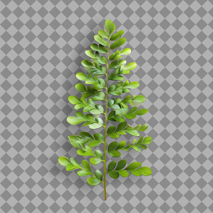PSD una planta con hojas verdes en un fondo gris