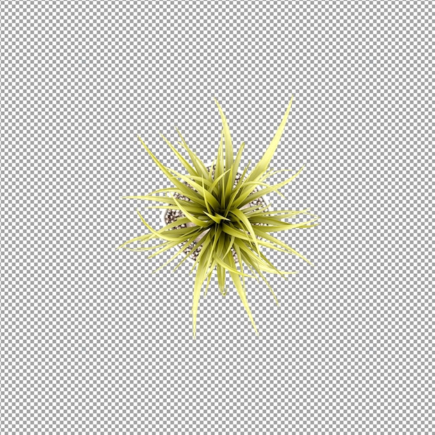 Planta isolada em renderização 3d