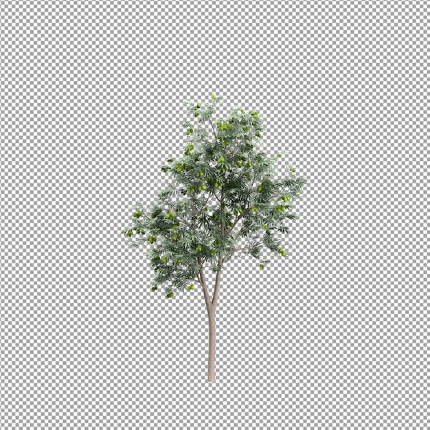 Planta isolada em renderização 3d