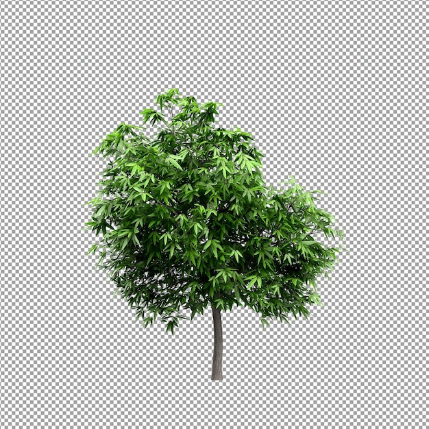 Planta isolada em renderização 3d