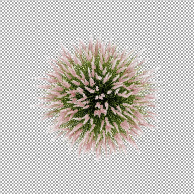 PSD planta isolada em renderização 3d