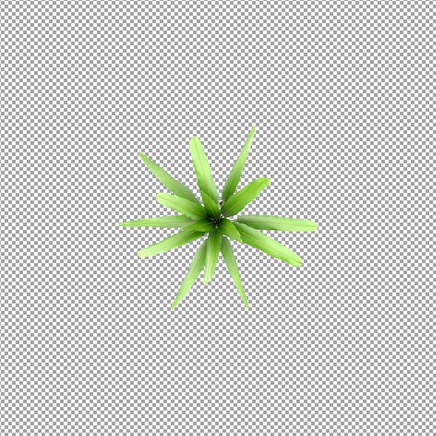 Planta isolada em renderização 3d