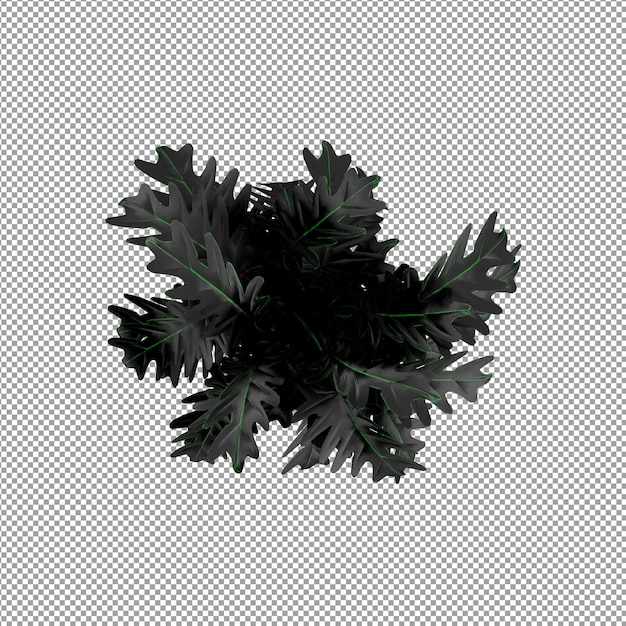 Planta isolada em renderização 3d