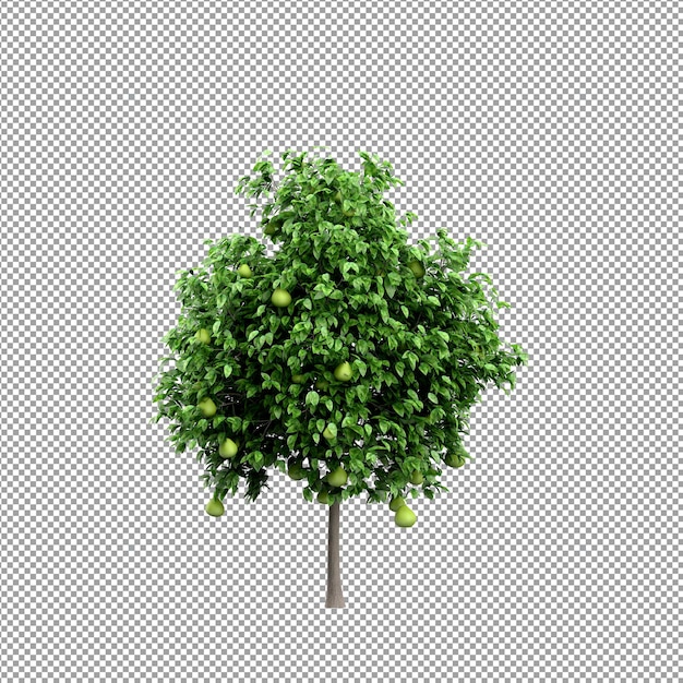 Planta isolada em renderização 3d