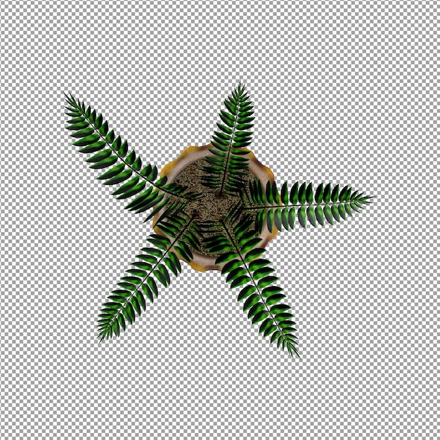 Planta isolada em renderização 3d