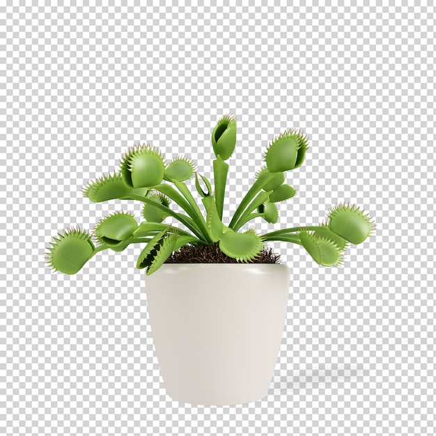 Planta isométrica em vaso renderização 3d