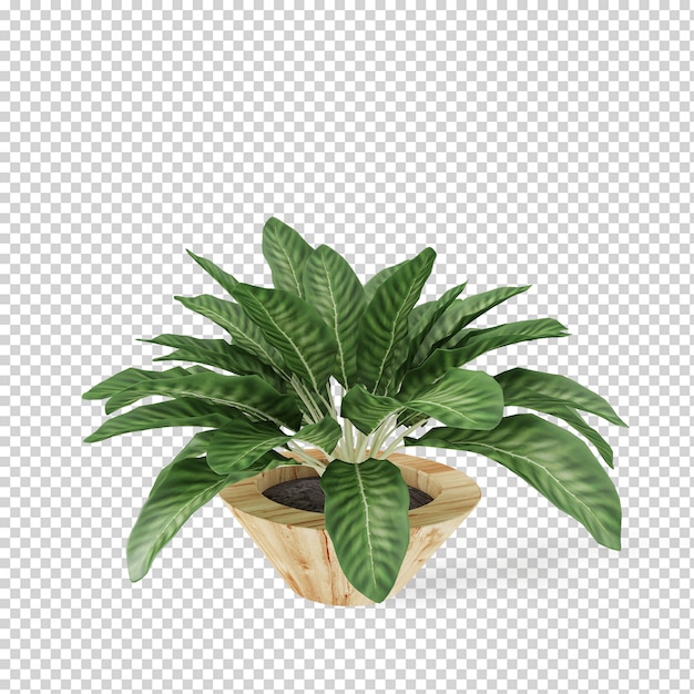 Planta isométrica em vaso renderização 3d