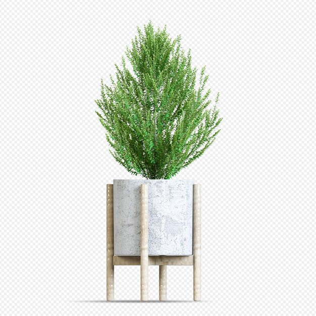 Planta isométrica en maceta decorativa en renderizado 3d