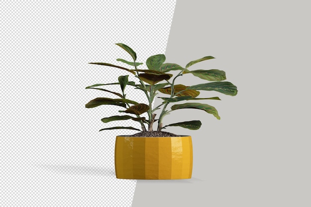 Planta isométrica en maceta render 3d