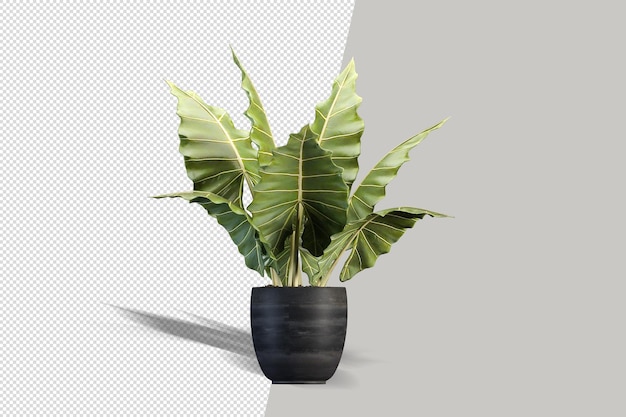 Planta isométrica renderização em 3d