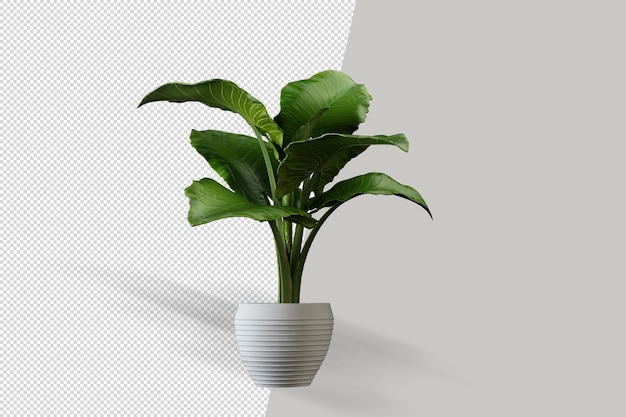 Planta isométrica renderização em 3d