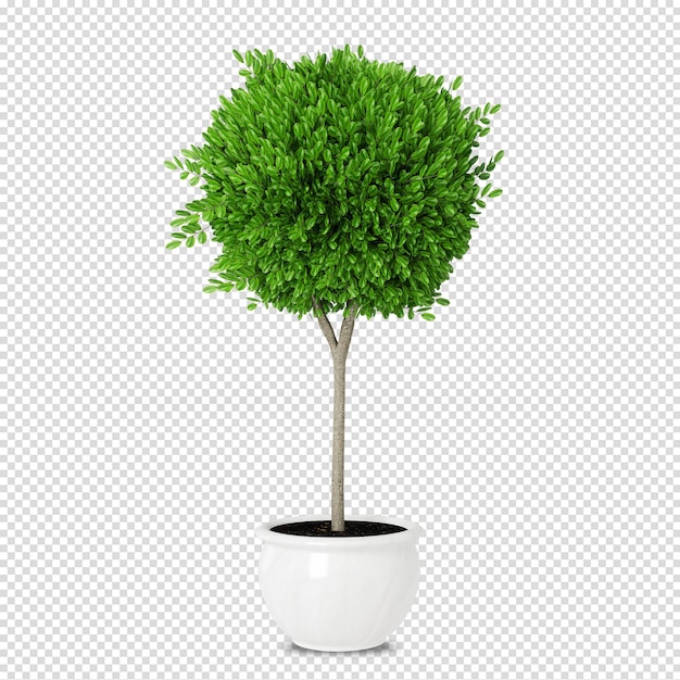 Planta isométrica en renderizado 3d