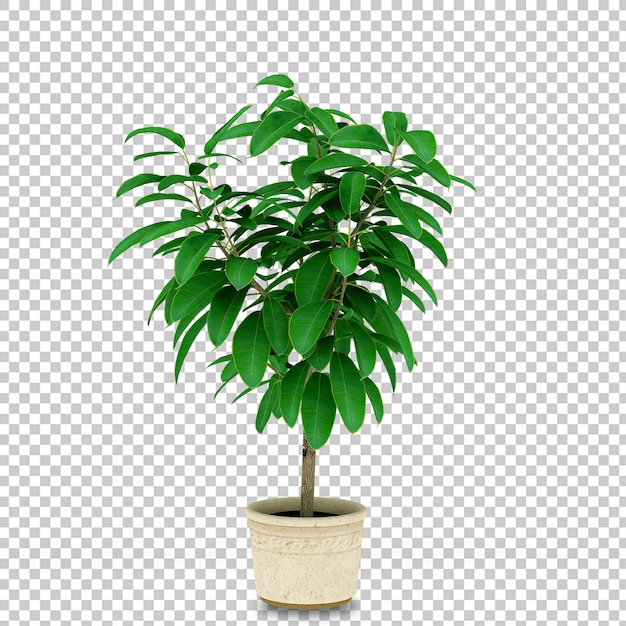 Planta isométrica en renderizado 3d