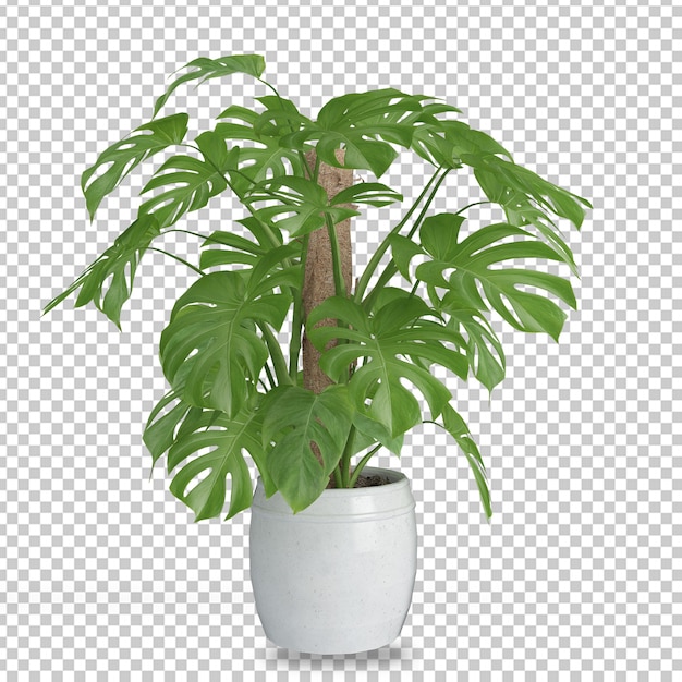 Planta isométrica en renderizado 3d