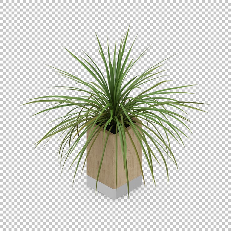 PSD planta isométrica