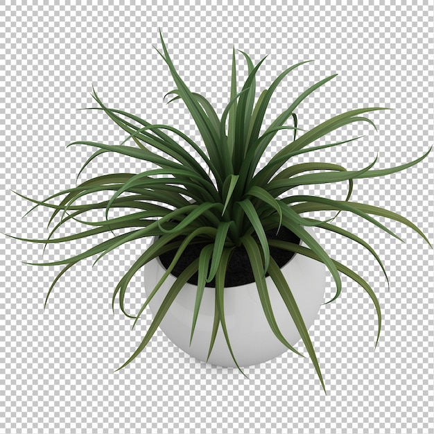 Planta Isométrica