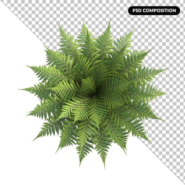 Planta en un jarrón de ratán