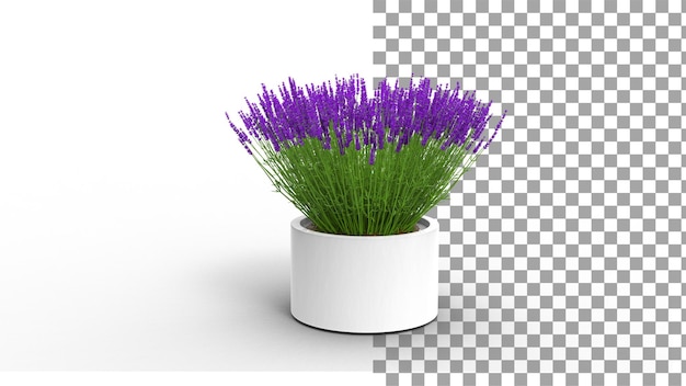 Planta de lavanda con maceta con sombra 3d render