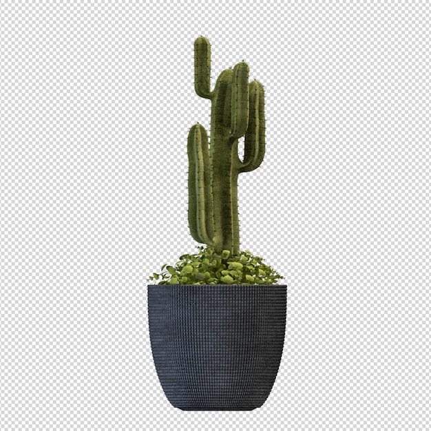 Planta en maceta en 3d rendering aislado