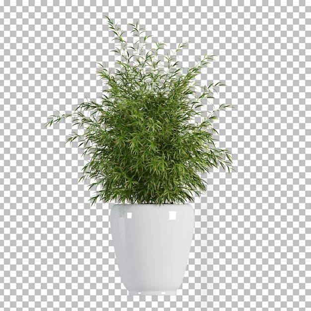 PSD planta en maceta en 3d rendering aislado