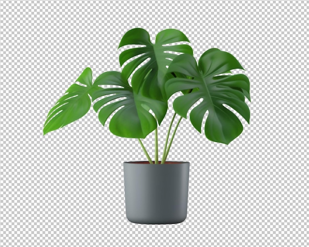 planta en maceta aislada y planta de casa decorada sobre fondo transparente