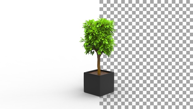 Planta con maceta cuadrada con sombra 3d render