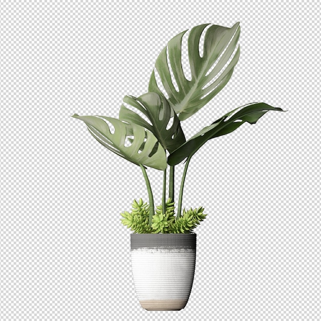 Planta con maceta de florero hermoso moderno