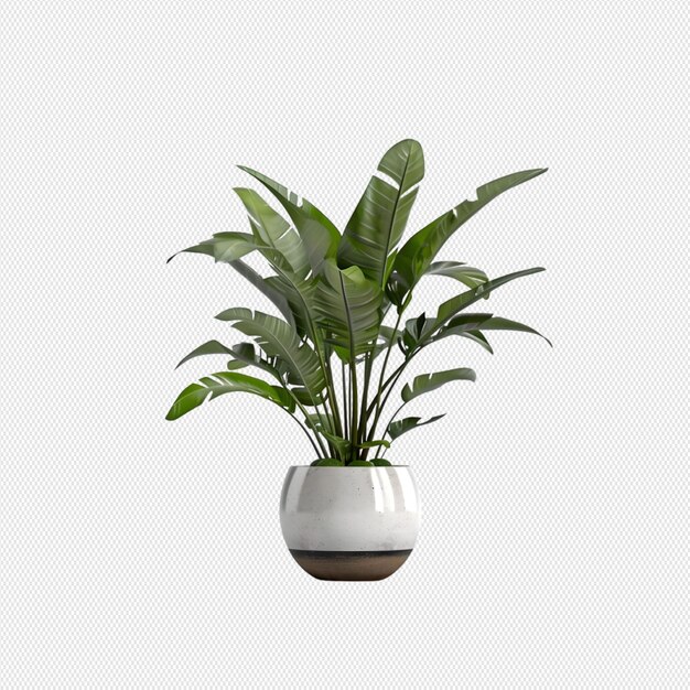 PSD planta en maceta png