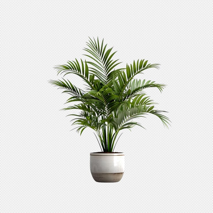 planta en maceta png