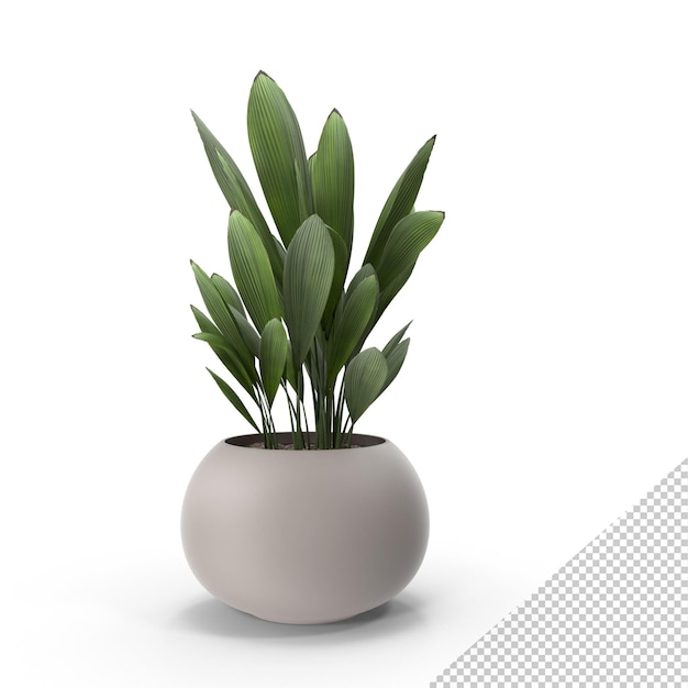 Planta En Maceta PNG